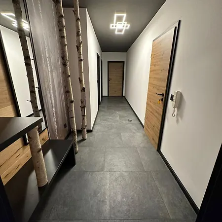 公寓 Woidpanorama Ehemals Haus Heike 纽舒瑙